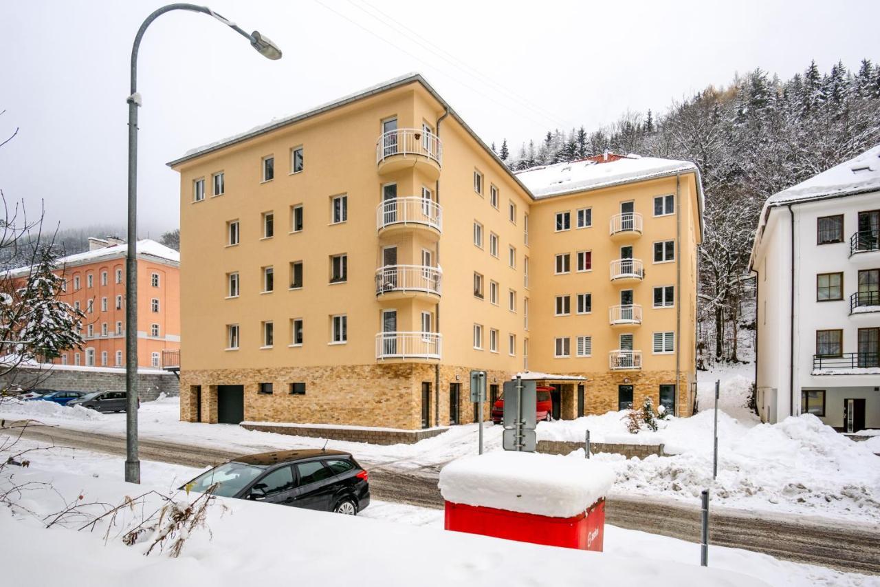 Boutique Apartment 23 - Rezidence K Lanovce Jáchymov Eksteriør billede
