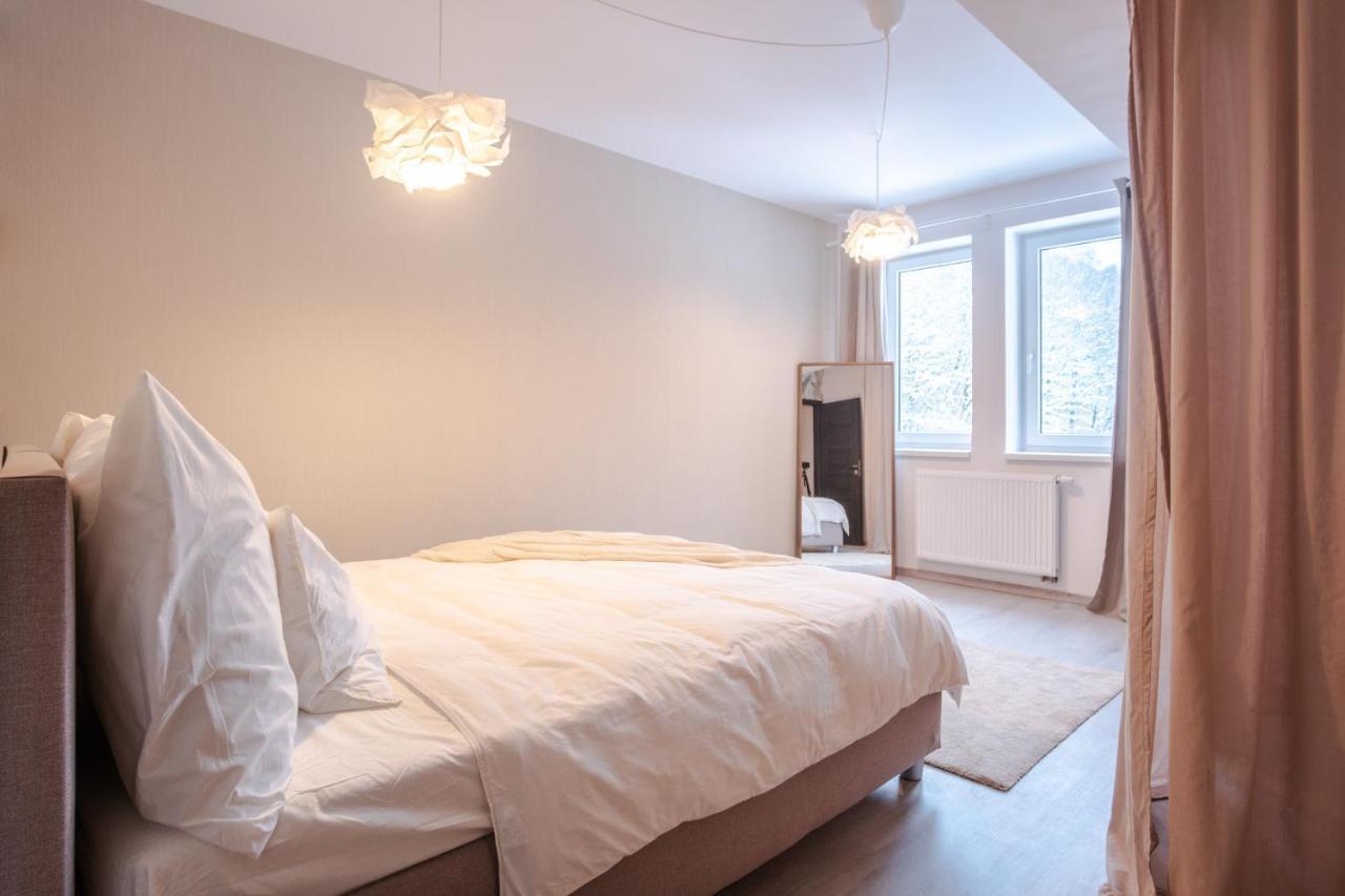 Boutique Apartment 23 - Rezidence K Lanovce Jáchymov Eksteriør billede